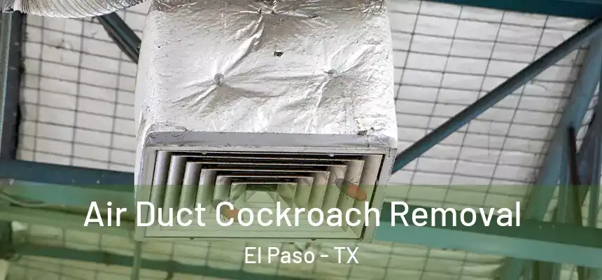 Air Duct Cockroach Removal El Paso - TX