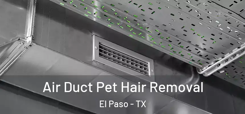 Air Duct Pet Hair Removal El Paso - TX