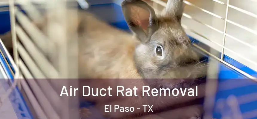Air Duct Rat Removal El Paso - TX