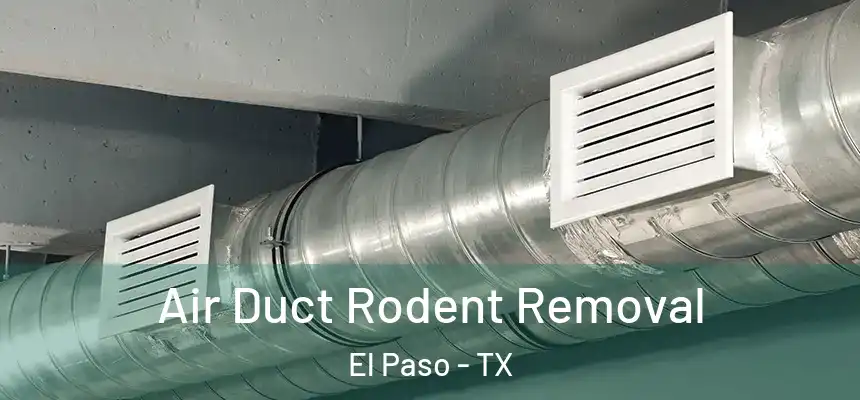Air Duct Rodent Removal El Paso - TX