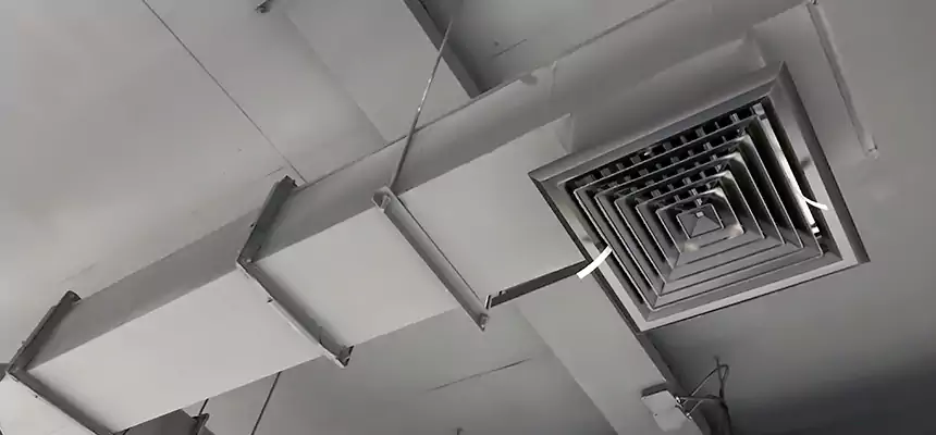 Our Rodent Droppings In Vents Services in El Paso, TX