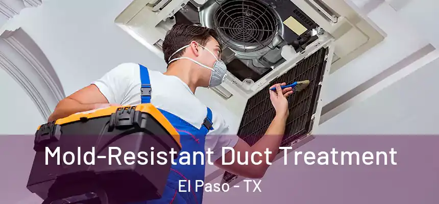 Mold-Resistant Duct Treatment El Paso - TX