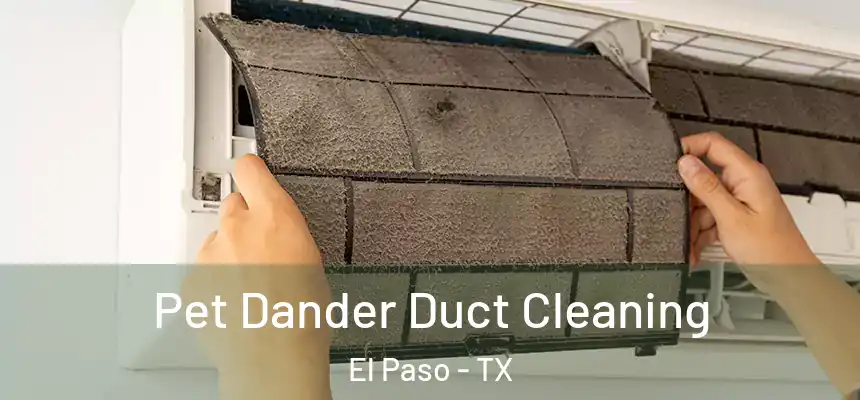Pet Dander Duct Cleaning El Paso - TX