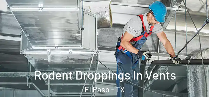 Rodent Droppings In Vents El Paso - TX