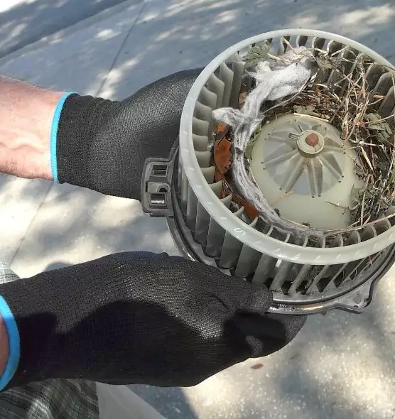 About Air Duct Mice Removal in El Paso, TX