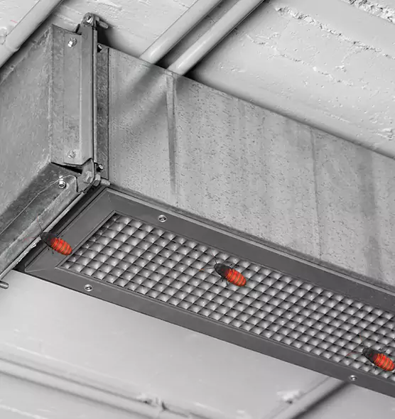 Affordable Insect Removal from Air Ducts in El Paso, TX