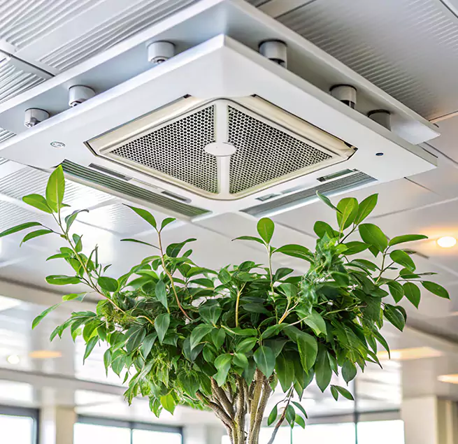 Why Homeowners & Businesses Trust Us in El Paso, TX